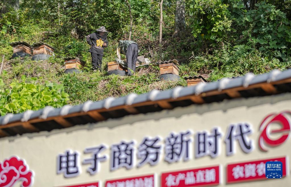 搜狗浏览器
